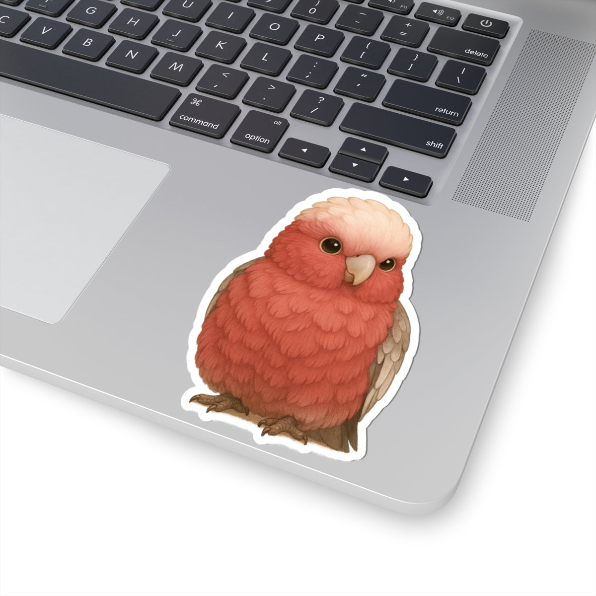 Galah Bird Kiss-Cut Vinyl Stickers - CritterCute